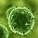 病毒RNA提取實(shí)驗(yàn)